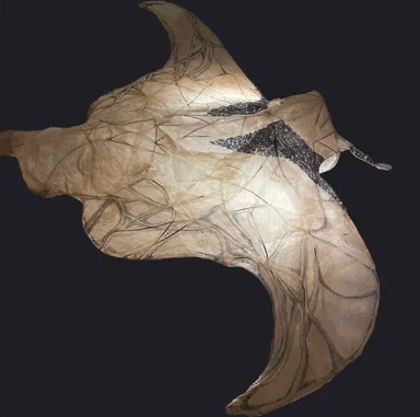 Manta Ray sculpture lit from within